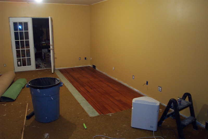 October 15: We pull a small section of carpet revealing the hardwood floors.